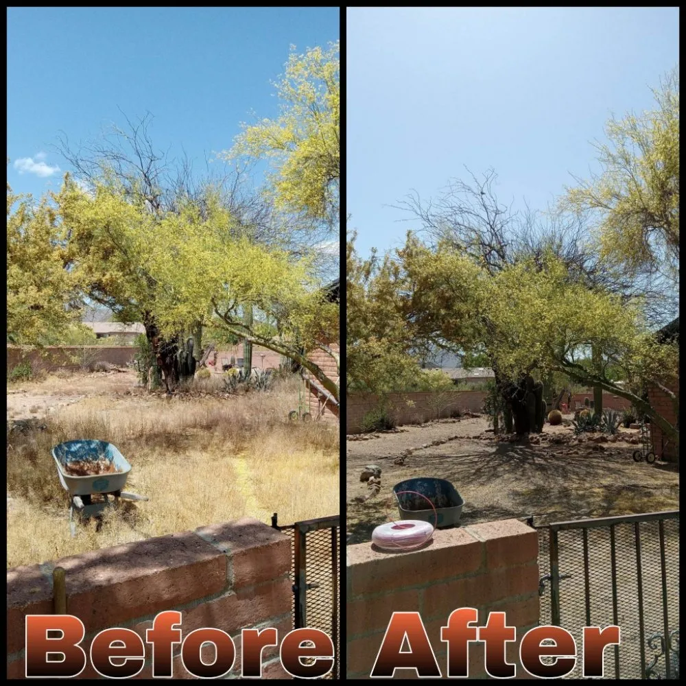 Trusted landscape installation for year-round maintenance across Tucson, AZ - Figueroas Home Improvements