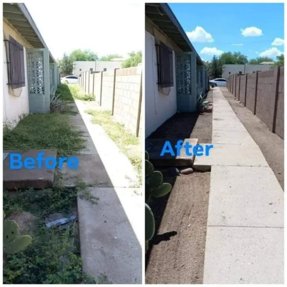 Expert yard maintenance for outdoor upgrades in Tucson, AZ by Figueroas Home Improvements