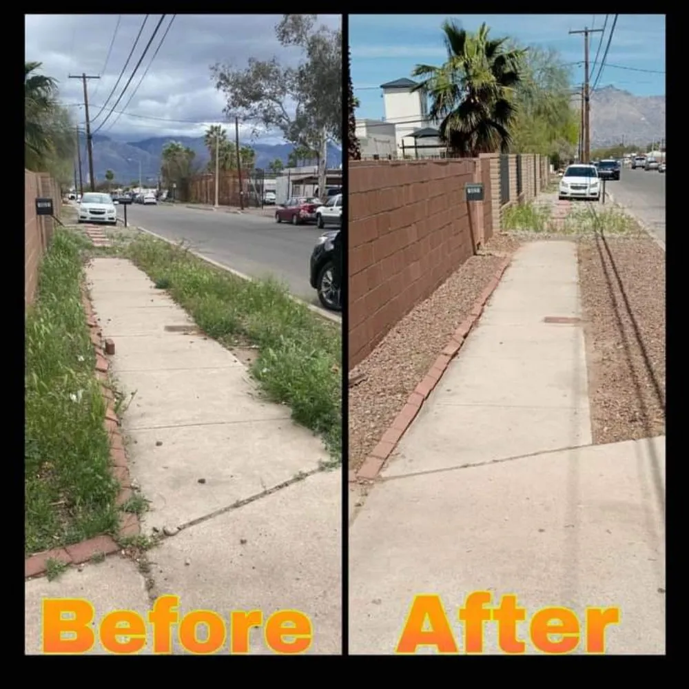 Top-rated landscaping services experts serving Tucson, AZ - Figueroas Home Improvements