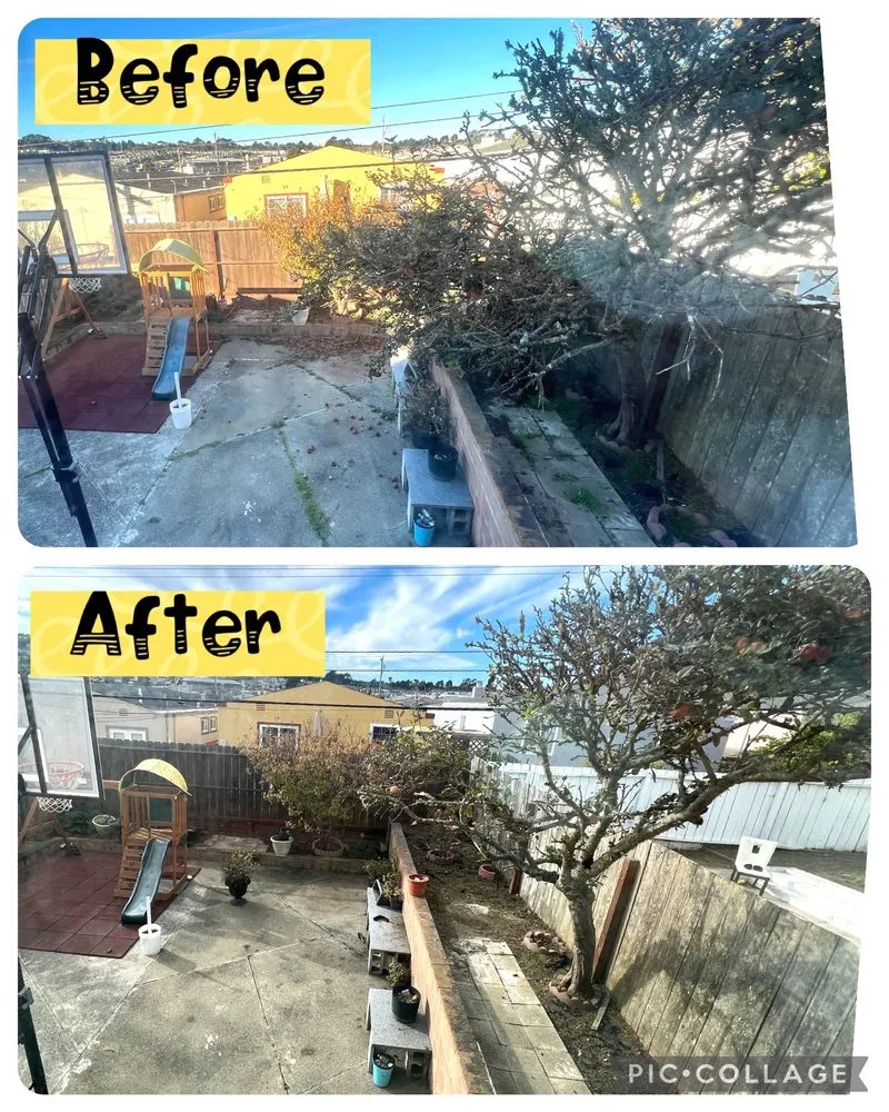 Local landscaping services in San Jose, CA by Figueroa's Landcare