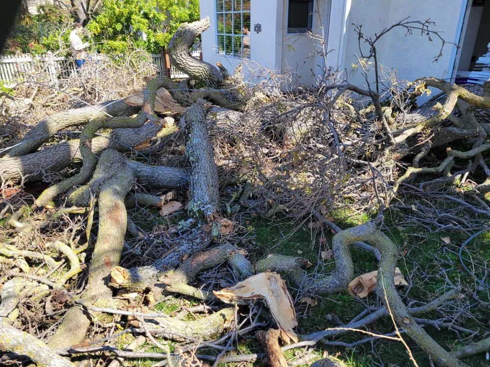 Trusted lawn care service experts serving San Jose, CA - Figueroa's Landcare