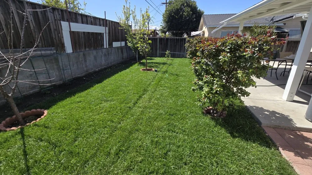 Reliable landscaping services in San Jose, CA by Figueroa's Landcare