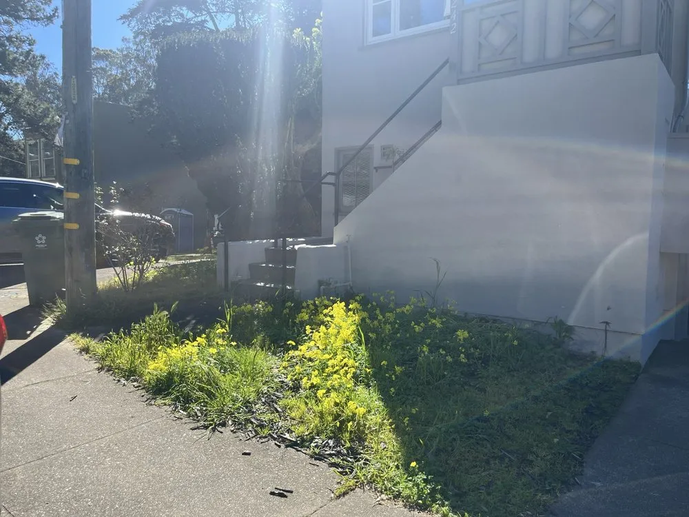 Expert lawn mowing service for homes in San Jose, CA by Figueroa's Landcare