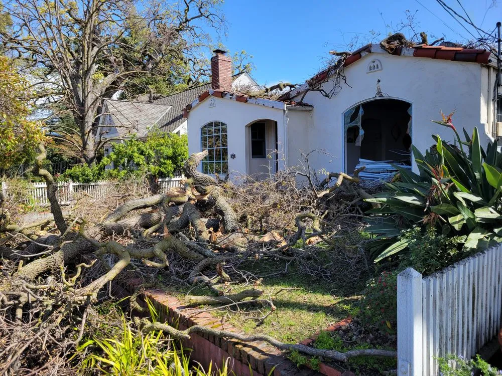 Affordable residential landscaping in San Jose, CA by Figueroa's Landcare