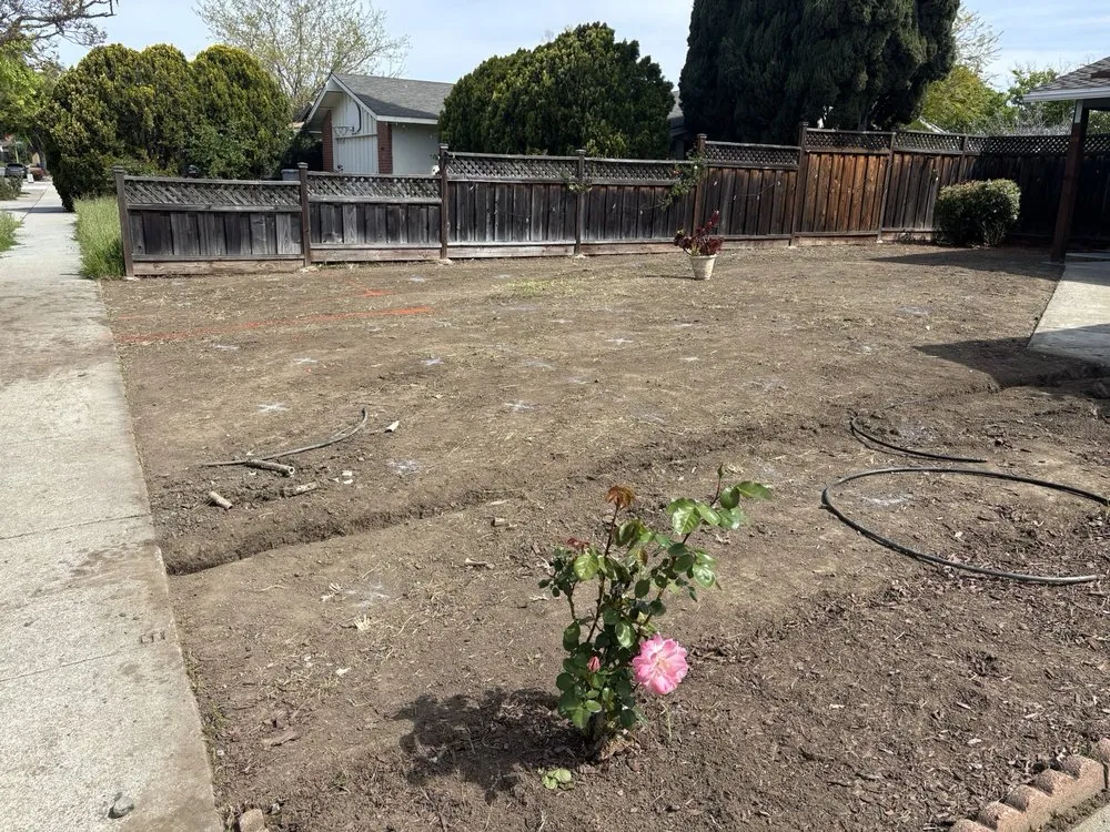 Trusted landscape installation experts serving San Jose, CA - Figueroa's Landcare