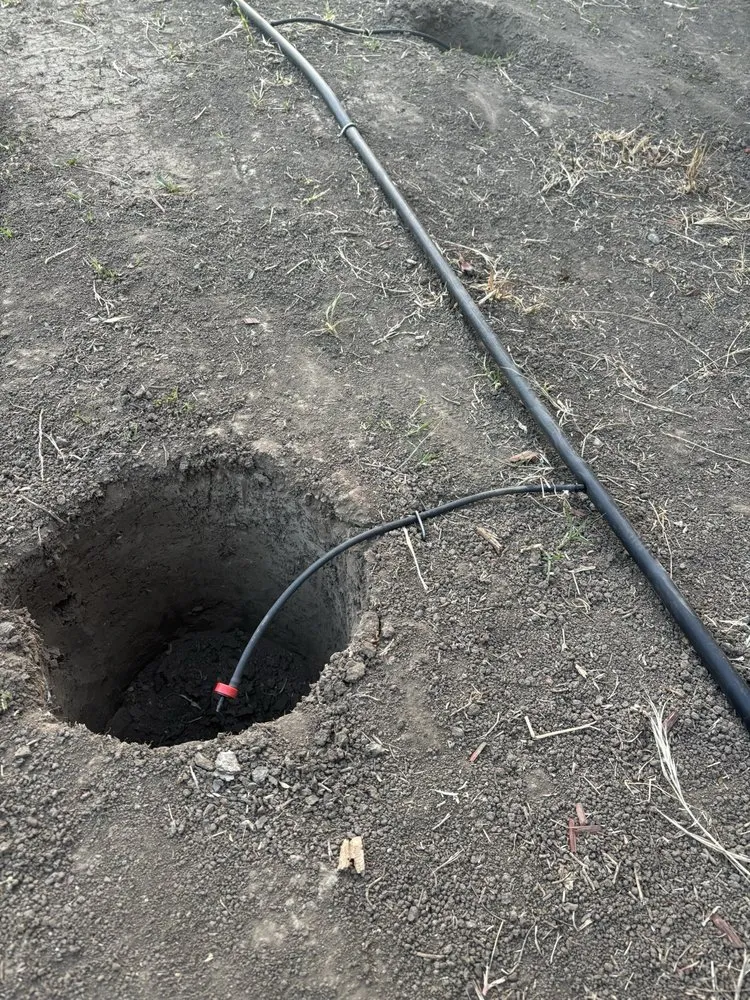 Top-rated landscape design experts serving San Jose, CA - Figueroa's Landcare