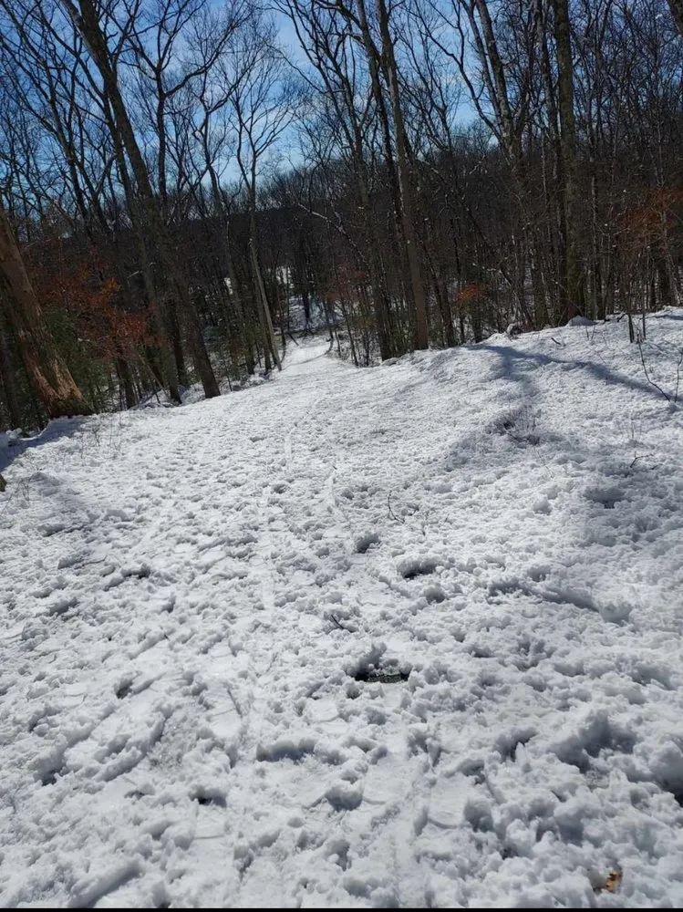 Expert landscaping services in Providence, RI - Figueroa’s Landscaping & Masonry