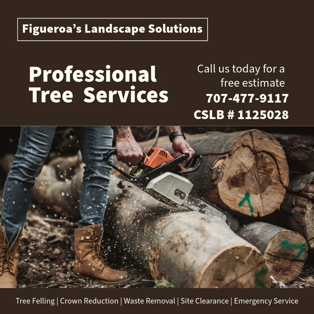 Trusted lawn care service for homes across Santa Rosa, CA - Figueroa’s Landscaping Solutions