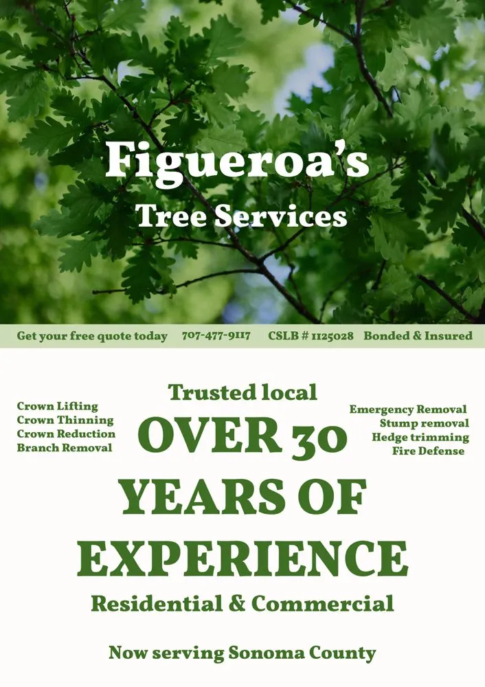 Custom yard maintenance for beautiful yards across Santa Rosa, CA - Figueroa’s Landscaping Solutions
