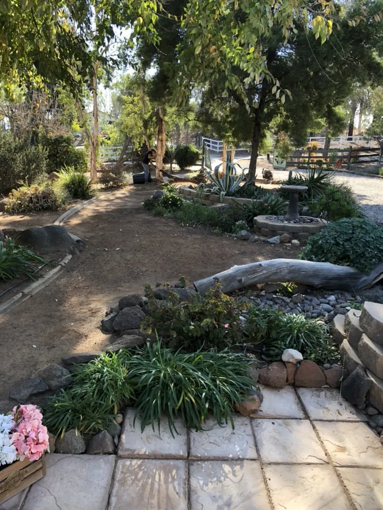 Custom yard cleanup service with custom design in El Cajon, CA by Figueroa’s Lawn Care