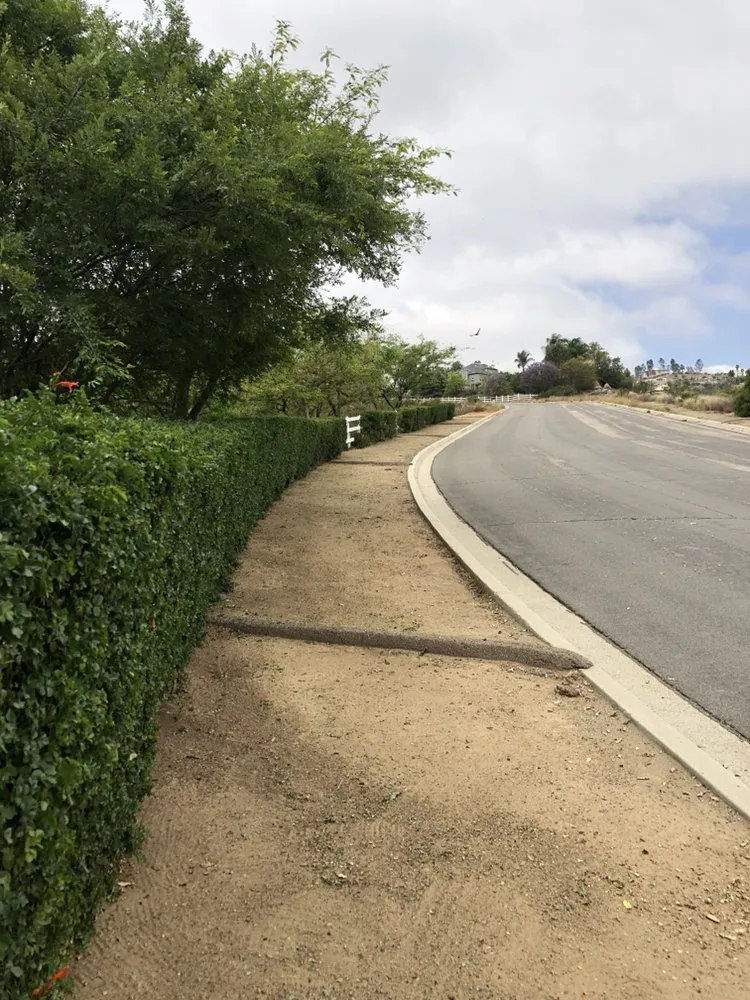 Affordable landscaping services near you in El Cajon, CA by Figueroa’s Lawn Care