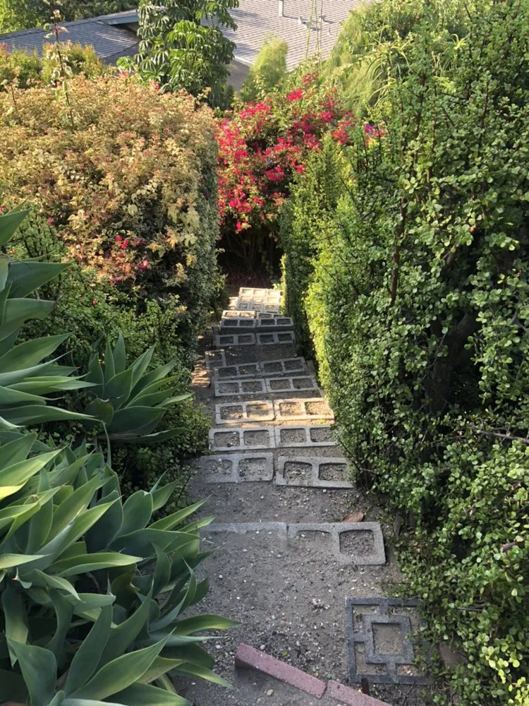 Trusted yard cleanup service experts serving El Cajon, CA - Figueroa’s Lawn Care