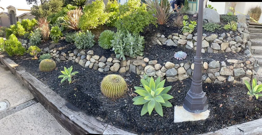 Affordable lawn care service in El Cajon, CA by Figueroa’s Lawn Care