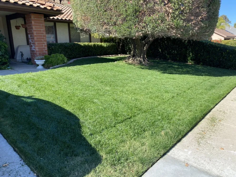 Custom yard maintenance experts serving El Cajon, CA - Figueroa’s Lawn Care