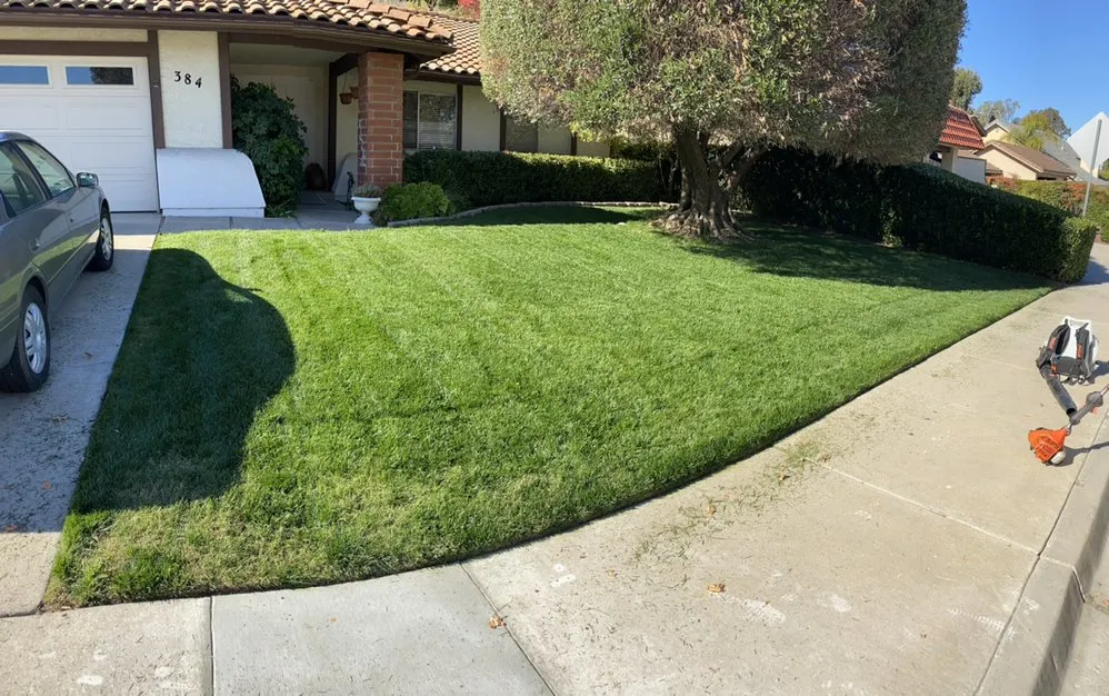 Custom landscape installation experts serving El Cajon, CA - Figueroa’s Lawn Care