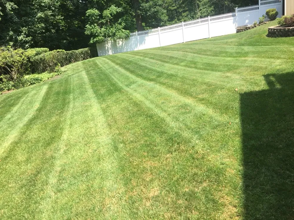 Top-rated lawn care service in Passaic, NJ by Fila Landscaping
