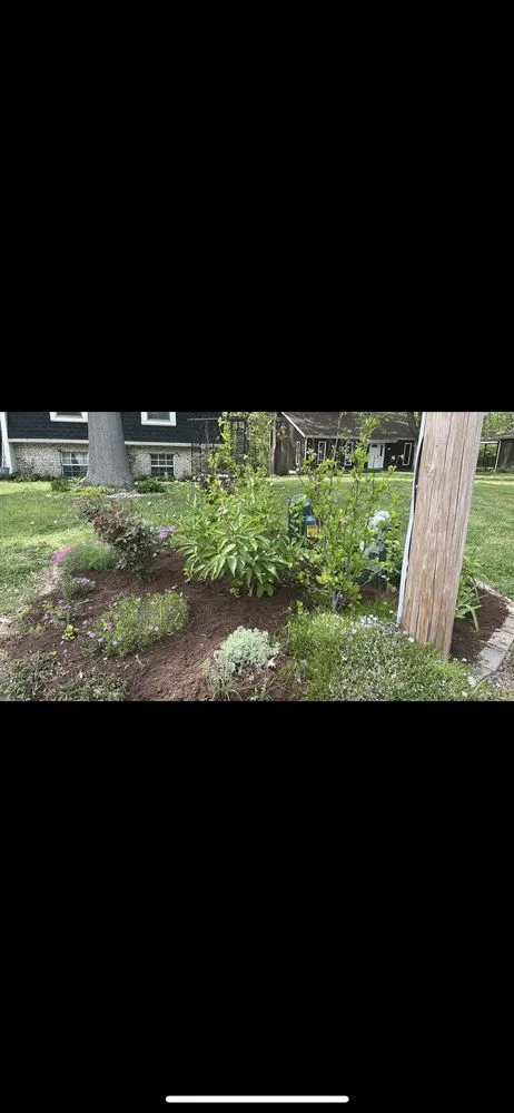 Professional landscape installation for outdoor upgrades in Bethalto, IL by Files Outdoor Services