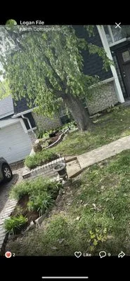 Files Outdoor Services