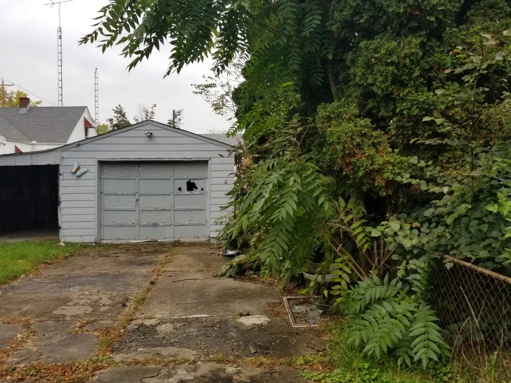 Reliable lawn mowing service in Louisville, OH - Fili Property Maintenance