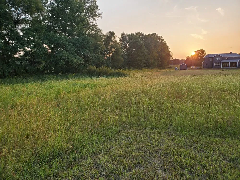 Local landscape design in Louisville, OH by Fili Property Maintenance