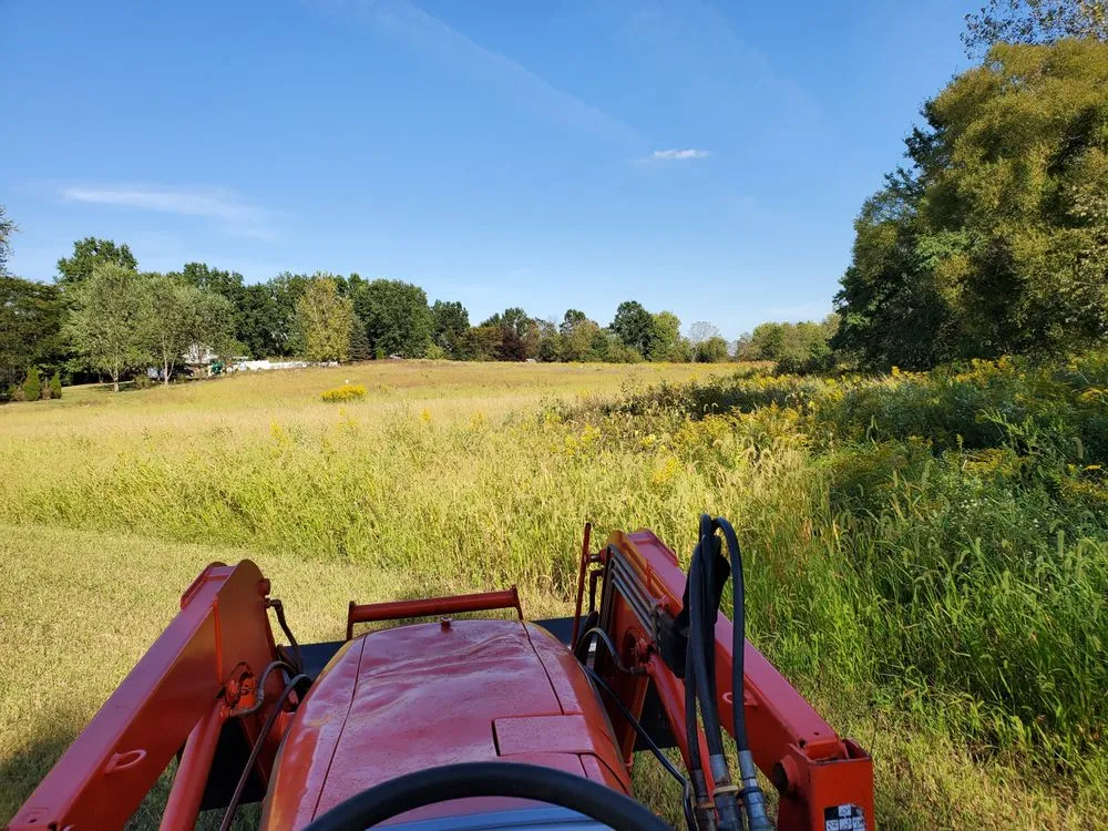 Affordable landscaping services in Louisville, OH - Fili Property Maintenance