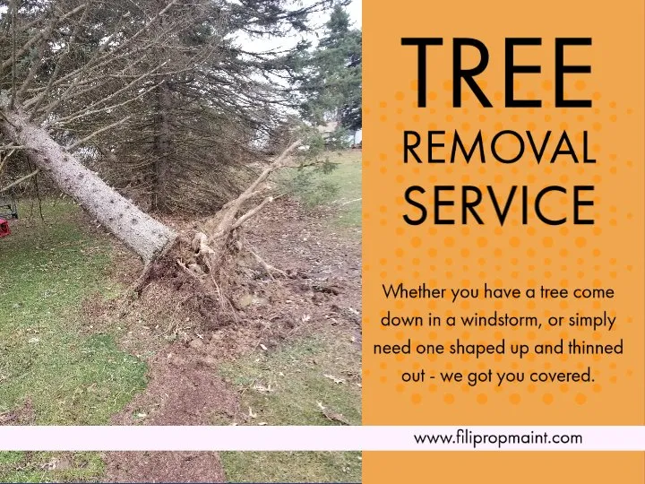 Professional lawn mowing service in Louisville, OH by Fili Property Maintenance