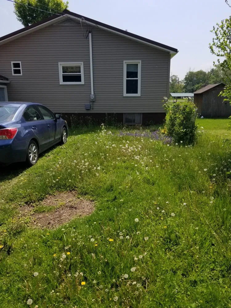 Trusted residential landscaping for homes across Louisville, OH - Fili Property Maintenance