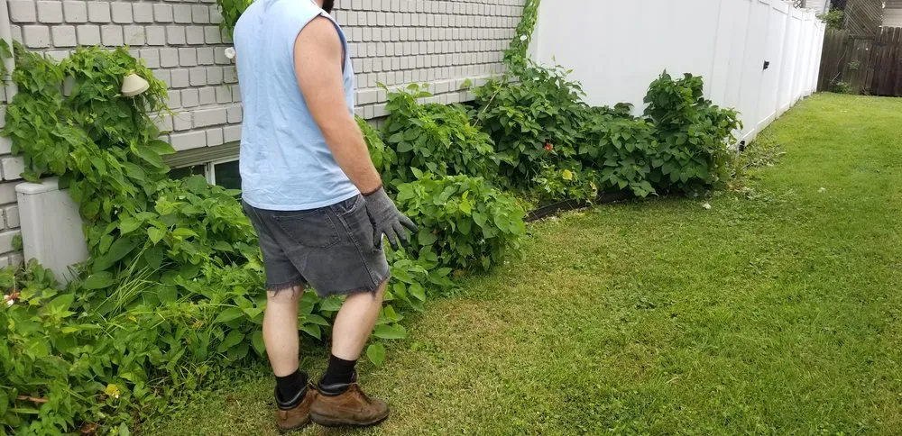 Reliable landscaping services for residential properties in Louisville, OH by Fili Property Maintenance