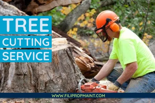 Fili Property Maintenance