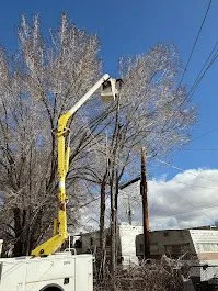 Custom outdoor landscaping for outdoor upgrades across Provo, UT - FILI Tree Expert & Landscaping