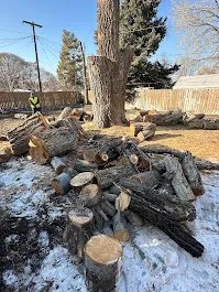 Custom landscaping services for outdoor upgrades across Provo, UT - FILI Tree Expert & Landscaping