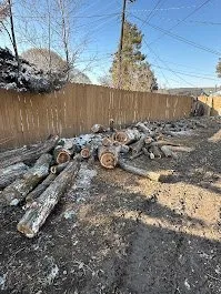 Top-rated yard maintenance in Provo, UT - FILI Tree Expert & Landscaping