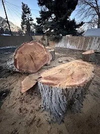 Trusted landscape installation in Provo, UT by FILI Tree Expert & Landscaping