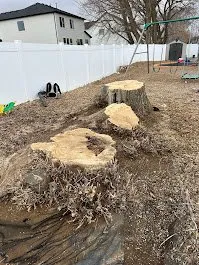 Professional lawn mowing service for homes in Provo, UT by FILI Tree Expert & Landscaping