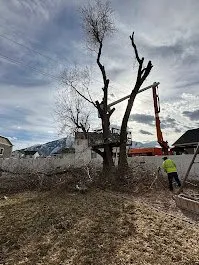 Reliable lawn mowing service with custom design in Provo, UT by FILI Tree Expert & Landscaping