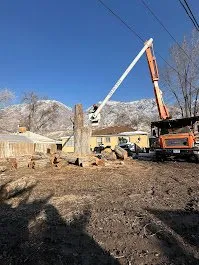 Local landscape installation experts serving Provo, UT - FILI Tree Expert & Landscaping