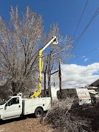 Custom yard maintenance in Provo, UT - FILI Tree Expert & Landscaping
