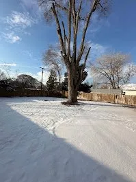 Professional landscape installation experts serving Provo, UT - FILI Tree Expert & Landscaping