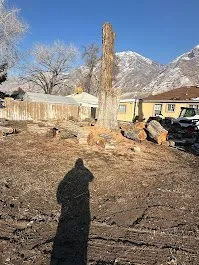 Local landscape design with custom design across Provo, UT - FILI Tree Expert & Landscaping