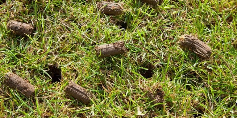 Top-rated garden landscaping experts serving Coeur d'Alene, ID - Fill's Lawn Care