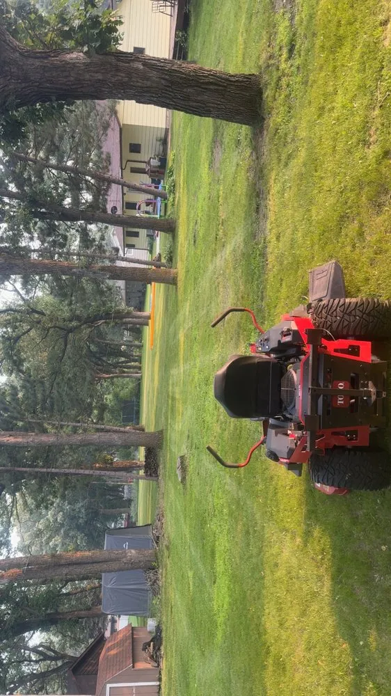 Trusted lawn care service in Little Falls, MN by Fillys Snow and Lawn