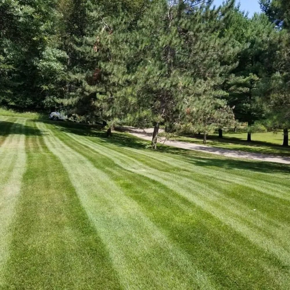 Reliable yard cleanup service in Little Falls, MN by Fillys Snow and Lawn