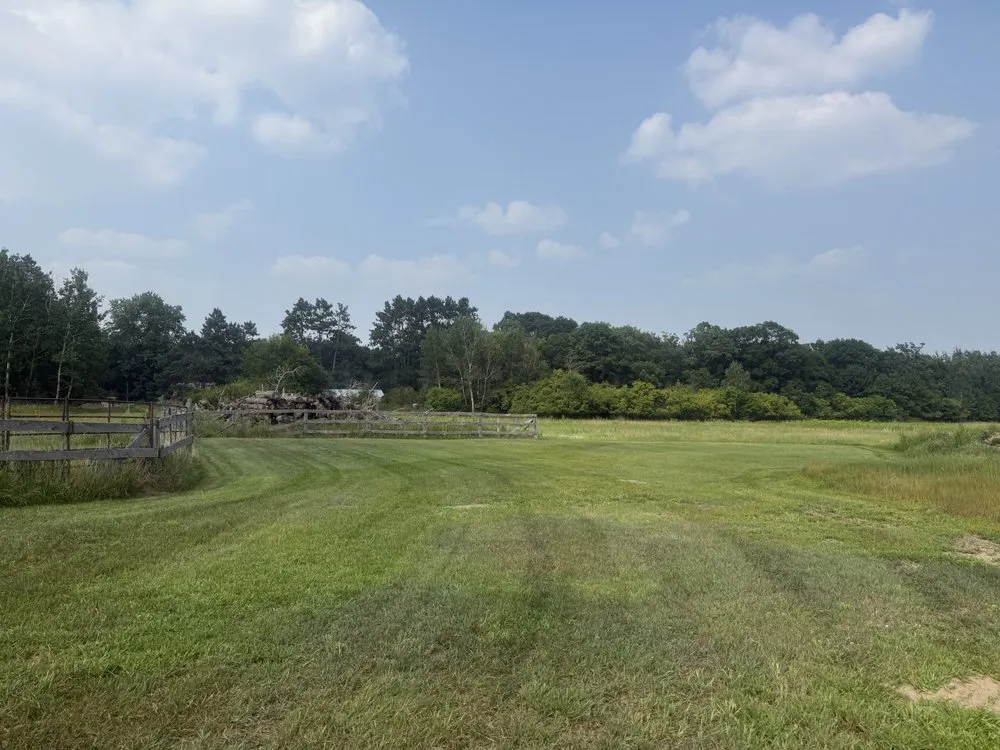 Local lawn mowing service for year-round maintenance across Little Falls, MN - Fillys Snow and Lawn