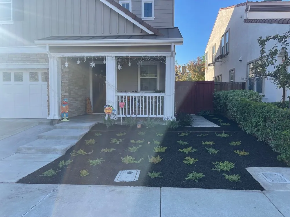Reliable outdoor landscaping near you in Walnut Creek, CA by Filo's Landscaping