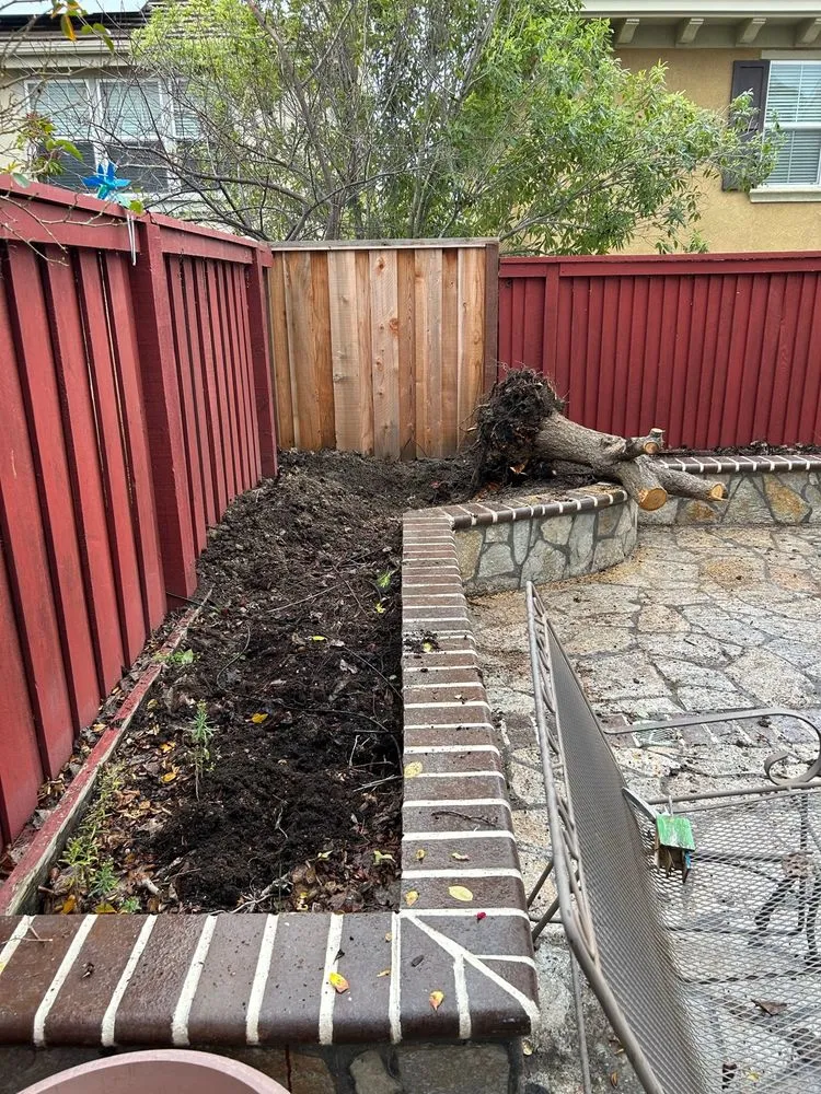 Professional landscape installation near you in Walnut Creek, CA by Filo's Landscaping