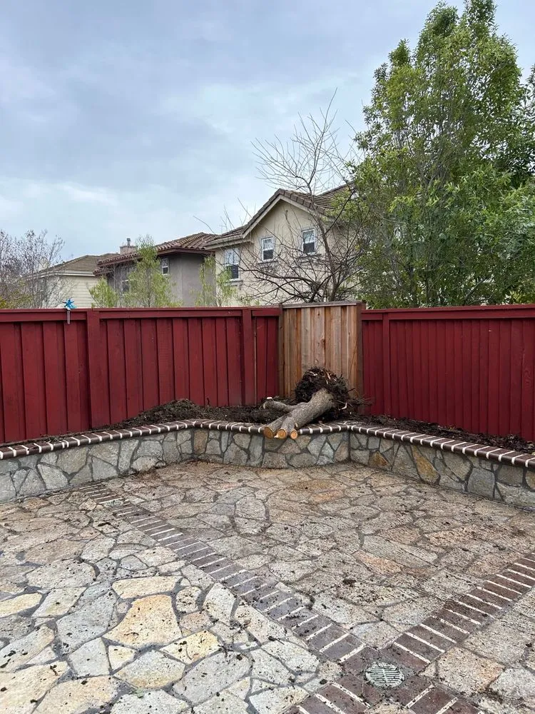 Reliable yard maintenance with custom design across Walnut Creek, CA - Filo's Landscaping