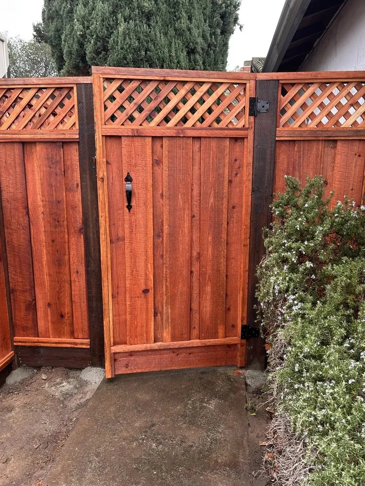 Expert yard cleanup service in Walnut Creek, CA - Filo's Landscaping