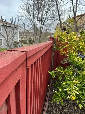 Filo's Landscaping Logo