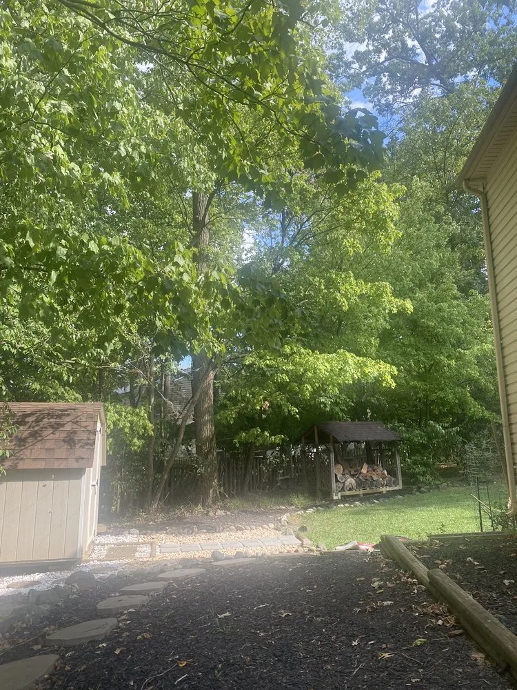 Reliable lawn care service in White Marsh, MD by Final Cut Landscape & Tree Care