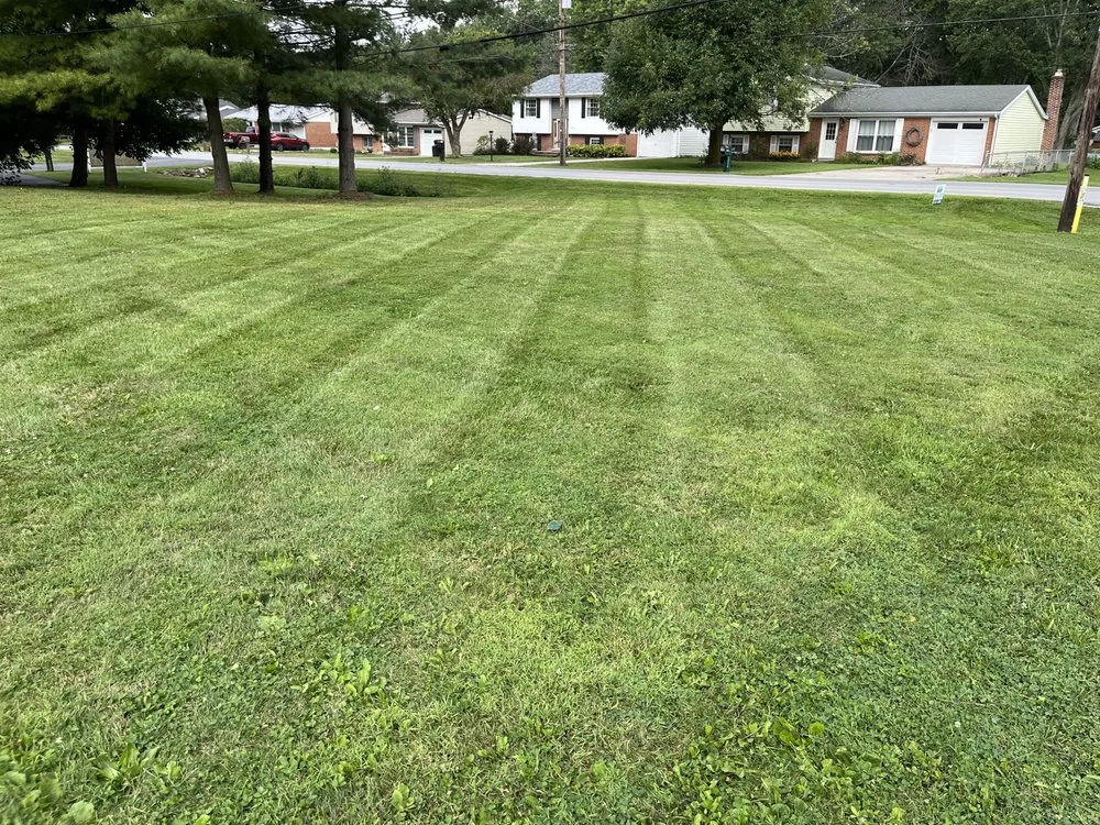 Reliable yard cleanup service experts serving Marion, OH - Final Cut Property Services